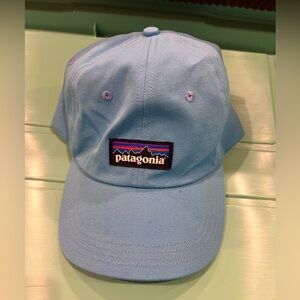Patagonia Dad Hat